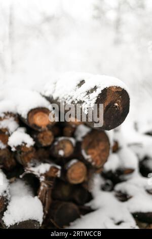 Ein Stapel Brennholz, der im Winter mit Schnee bedeckt ist Stockfoto