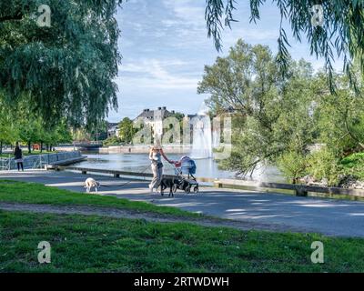 Junge Wanderhündin und ein Baby-stoller am Motala-Fluss und der Uferpromenade in Norrköping an einem warmen und sonnigen Tag Anfang September 2023. Stockfoto