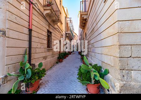 Kleine Straße mit Blumen in der Altstadt von Syrakus in Sizilien, Italien Stockfoto