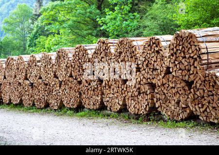 Pakete aus gehäckseltem Holz im Wald am Fußweg, die in einer Sägemühle zum Brennen in einem freistehenden Holzofen oder in einem Kamin zubereitet werden. Sägewerk, nein Stockfoto