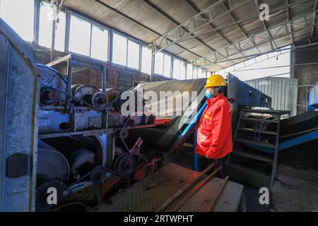 LUANNAN COUNTY, China - 10. November 2021: Arbeiter arbeiten an der Vlieslinie in Nordchina Stockfoto