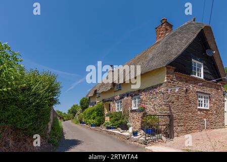 Ein reetgedecktes Cottage in Higher Allerford im Exmoor National Park, Somerset, England. Stockfoto