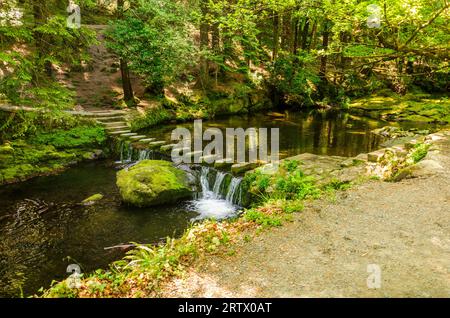 Der Fluss Shimna fließt im Tollymore Forest über Steinfelsen Stockfoto