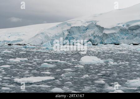 Curtiss Bay, Antarktis. Stockfoto