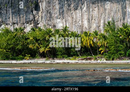 Makatea, Tuamotu-Archipel, Französisch-Polynesien. Stockfoto