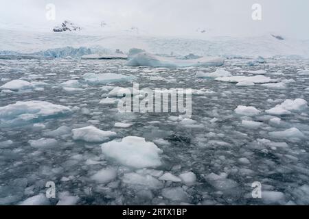 Curtiss Bay, Antarktis. Stockfoto