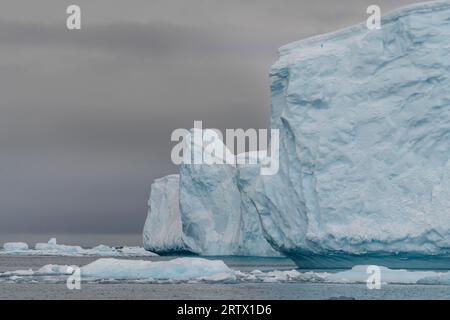 Eisberge in Curtiss Bay, Antarktis. Stockfoto