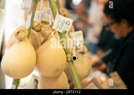 Bra (Cuneo), Italien. September 2023. Einweihung der XIV. Ausgabe der internationalen Käsemesse, organisiert von der Slow Food-Bewegung und der Stadtverwaltung von Bra. Auf diesem Bild sehen Sie einige Formen von regionalem italienischen Käse, der mit umweltfreundlichen Methoden hergestellt wird. Quelle: Luca Prestia / Alamy Live News Stockfoto