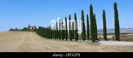 avenue mit Zypressen in der toskanischen Landschaft Stockfoto