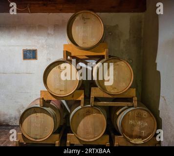 Weinkeller im Weingut Matošević in Krunčići auf der istrischen Halbinsel von Kroatien Stockfoto