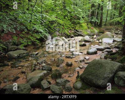 Przesieka (Gmina Podgórzyn, Kreis Jelenia Góra, Woiwodschaft Niederschlesien, Republik Polen) Stockfoto