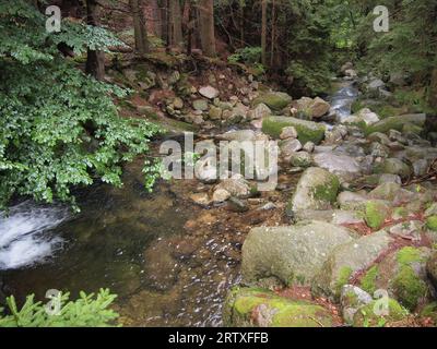 Przesieka (Gmina Podgórzyn, Kreis Jelenia Góra, Woiwodschaft Niederschlesien, Republik Polen) Stockfoto