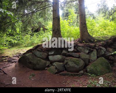 Przesieka (Gmina Podgórzyn, Kreis Jelenia Góra, Woiwodschaft Niederschlesien, Republik Polen) Stockfoto