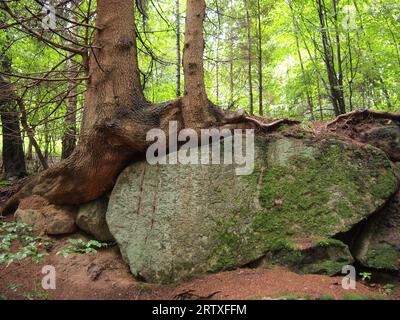 Przesieka (Gmina Podgórzyn, Kreis Jelenia Góra, Woiwodschaft Niederschlesien, Republik Polen) Stockfoto