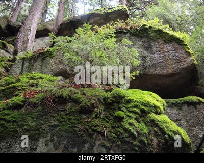 Przesieka (Gmina Podgórzyn, Kreis Jelenia Góra, Woiwodschaft Niederschlesien, Republik Polen) Stockfoto