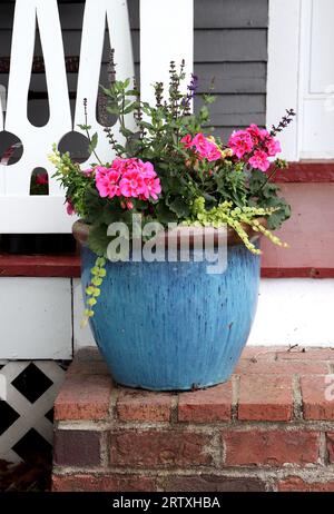 Blauer Pflanztopf für den Außenbereich mit pinkfarbenen Blumen und kaskadenförmigem Grün Stockfoto