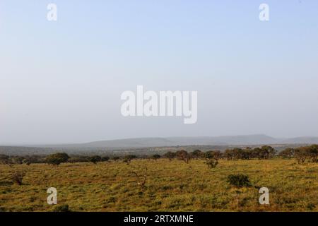 Die üppige Landschaft des Mkhuze oder Mkuze Game Reserve, Nord Zululand, KwaZulu-Natal, Südafrika Stockfoto