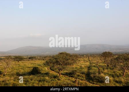 Die üppige Landschaft des Mkhuze oder Mkuze Game Reserve, Nord Zululand, KwaZulu-Natal, Südafrika Stockfoto