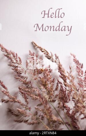 hallo Montag Text mit Pampas Gras auf weißem Hintergrund. Leerzeichen kopieren. Selektiver Fokus. Grußkarte. Gemütliche Stimmung. Inspirierendes Zitat Stockfoto
