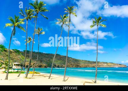 Wunderschöne Hanauma Bay in Oahu, Hawaii, mit Blick auf das Rettungsschwimmhaus, Palmen, Berge, die aus einem vulkanischen Krater entstanden sind, und Surfbretter auf dem Stockfoto