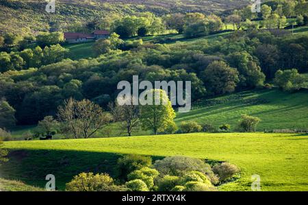 Eskdale in der Nähe von Castleton, North York Moors National Park Stockfoto