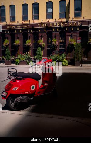 Scharlachroter Roller Stockfoto