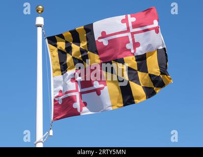 Maryland-Staatsflagge vor blauem Himmel Stockfoto