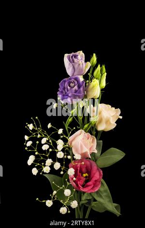 Schöne Blumen auf dunklem Hintergrund Stockfoto