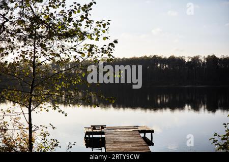 Herbstlandschaft, Herbstwald spiegelt sich im See wider, hölzerner Pier am See. Stockfoto