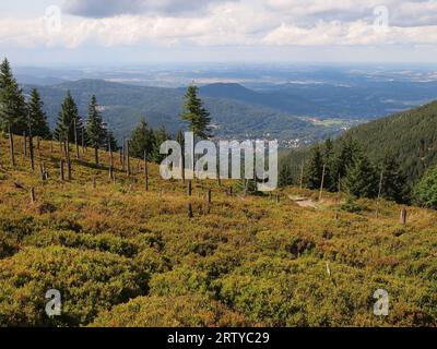 Nationalpark Karkonosze (Karkonosze, Sudetengebirge, Woiwodschaft Niederschlesien, Republik Polen) Stockfoto