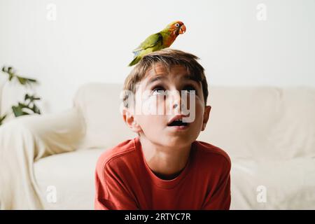 Glücklicher Kinderjunge und Papageienvogel, der zu Hause Spaß hat - Beziehung zwischen Besitzer und Haustier, exotisches Tierkonzept Stockfoto