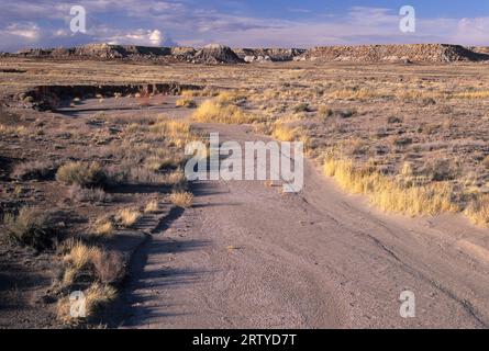 Wash in der Nähe von Rainbow Forest, Petrified Forest National Park, Arizona Stockfoto