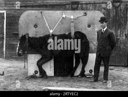 Peabody, Kansas: c. 1912 Tierarzt Dr. F. M. Stipe und das Gerät, das er für die Behandlung von Pferden und anderen großen Tieren entwickelt hat. Stockfoto