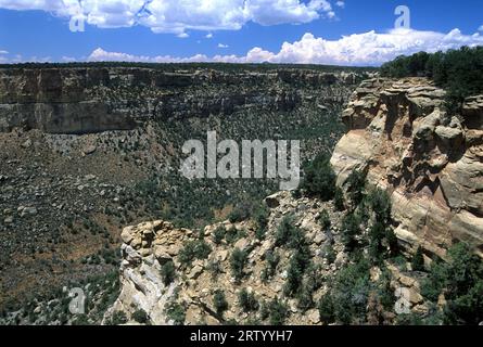 Navajo Canyon, Mesa Verde Nationalpark, Colorado Stockfoto