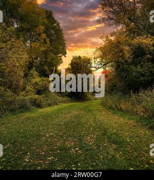 Als die Sonne zu sinken begann und den Himmel in feurigen Orangetönen malte, begann ich einen bezaubernden Spaziergang an einem kühlen Herbstabend. Stockfoto