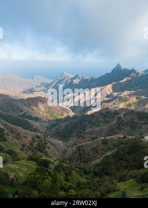 Nebel mit Wind und nebligen Wolken in grünen Bergen, Anaga Park, Teneriffa, Kanarienvogel Stockfoto