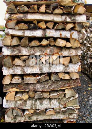 Nahaufnahme von Holzpfahl mit gespaltenem Birkenholz. Stockfoto