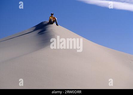 Dune Crest, Bruneau Dunes State Park, Snake River Greifvögel National Conservation Area, Idaho Stockfoto