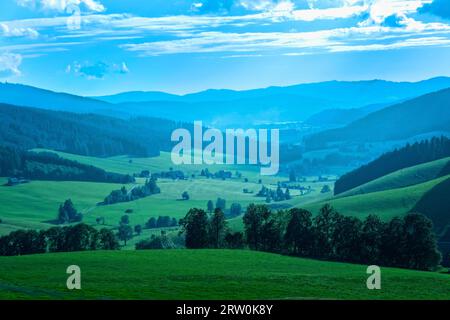 Ein Tal bei Titsee im Schwarzwald Stockfoto