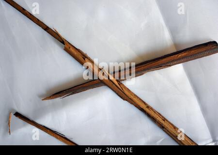 Ungewöhnliche Dinge, zwei braune Holzstöcke, lange Splitter von Holzmöbeln liegen chaotisch auf weißem mattem Stoff. Stockfoto