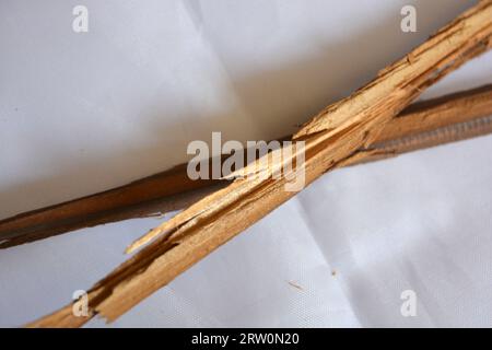 Ungewöhnliche Dinge, zwei braune Holzstöcke, lange Splitter von Holzmöbeln liegen chaotisch auf weißem mattem Stoff. Stockfoto