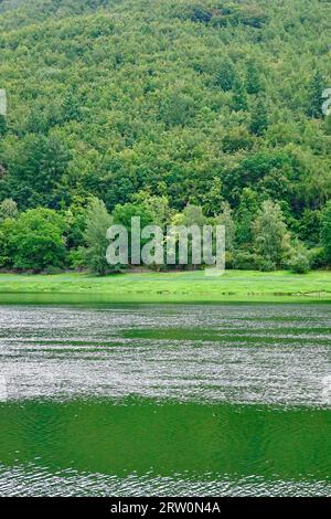 Edersee im Spätsommer, Hessen, Deutschland, Europa Stockfoto