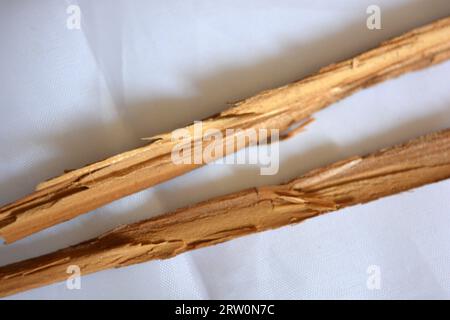 Ungewöhnliche Dinge, zwei braune Holzstöcke, lange Splitter von Holzmöbeln liegen chaotisch auf weißem mattem Stoff. Stockfoto