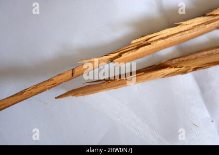 Ungewöhnliche Dinge, zwei braune Holzstöcke, lange Splitter von Holzmöbeln liegen chaotisch auf weißem mattem Stoff. Stockfoto