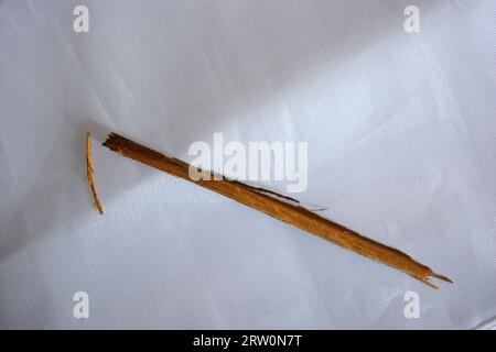 Ungewöhnliche Dinge, zwei braune Holzstöcke, lange Splitter von Holzmöbeln liegen chaotisch auf weißem mattem Stoff. Stockfoto