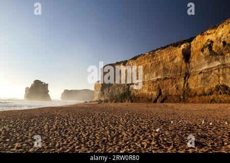 Felsen an der Küste am Strand bei Gibson Steps in der Nähe der zwölf Apostel im Port Campbell National Park, Victoria, Australien. Strand und Küste um Stockfoto