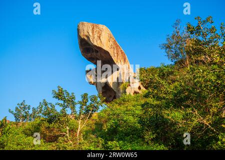 Krötenfelsen auf einem Hügel im Berg Abu. Mount Abu ist eine Bergstation im Bundesstaat Rajasthan in Indien. Stockfoto