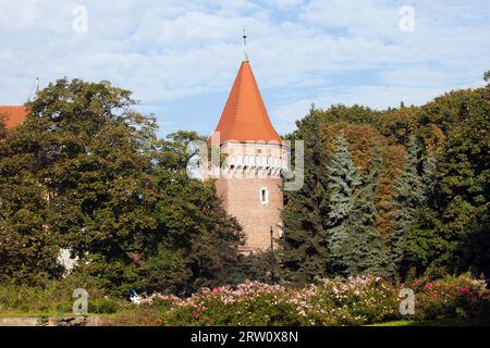 Baszta Pasamonikow gotischer Turm und Planty Park in Krakau, Polen, Teil der mittelalterlichen Stadtbefestigung Stockfoto