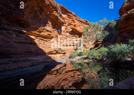 Der Garten Eden am Kings Canyon im Northern Territory, Australien Stockfoto