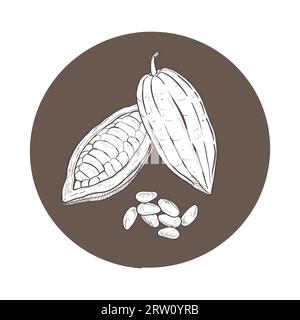 Vektor-Illustration Satz von Kakao geöffnet und geschlossen rohen ungeschälten Bohnenschoten und abgelösten Samen. Schwarze schillernde Kontur von Kakaofruchten, grafische Zeichnung Stock Vektor